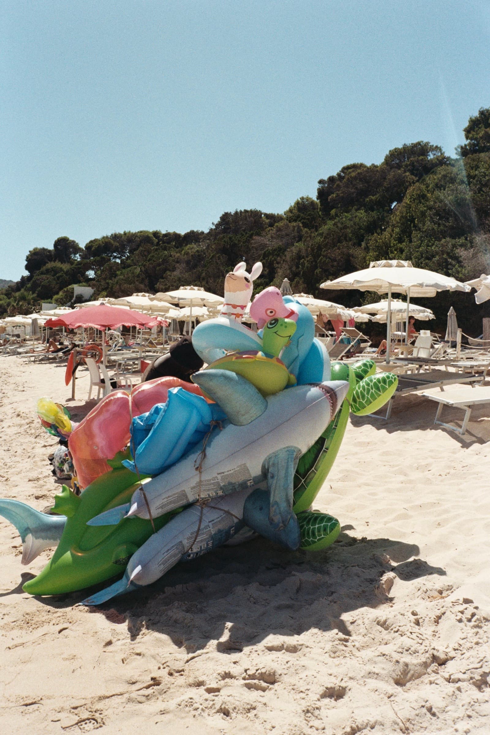 beach
