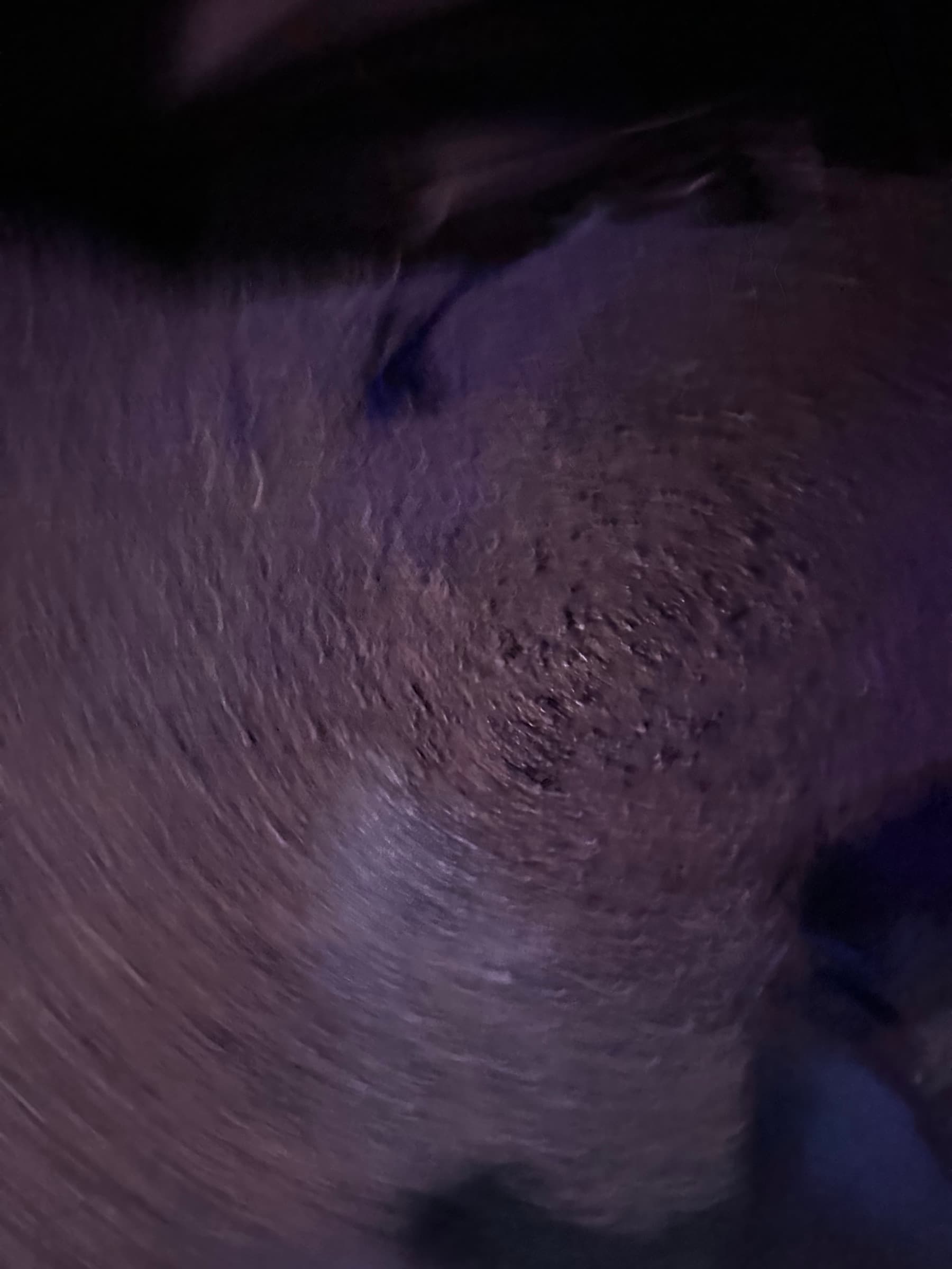 floor